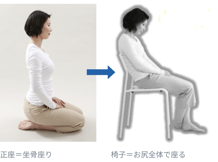 アーユル・チェアーとは 日本人の姿勢を正すカギは、「坐骨」にあるのです