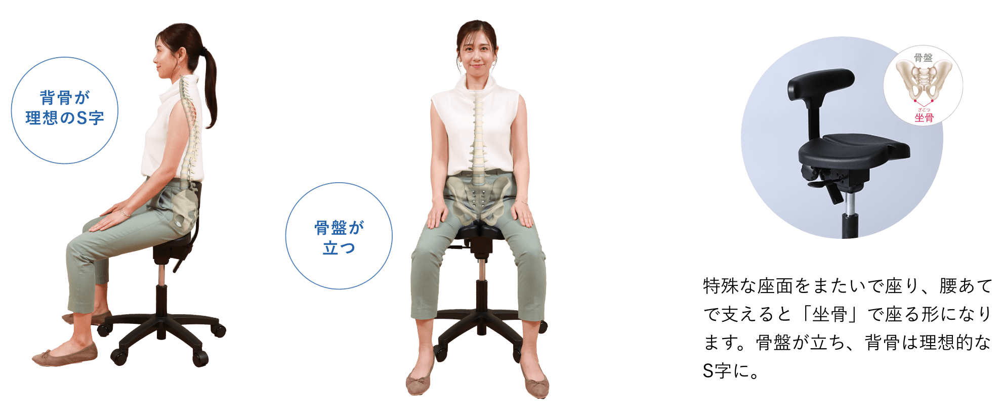 姿勢の矯正に