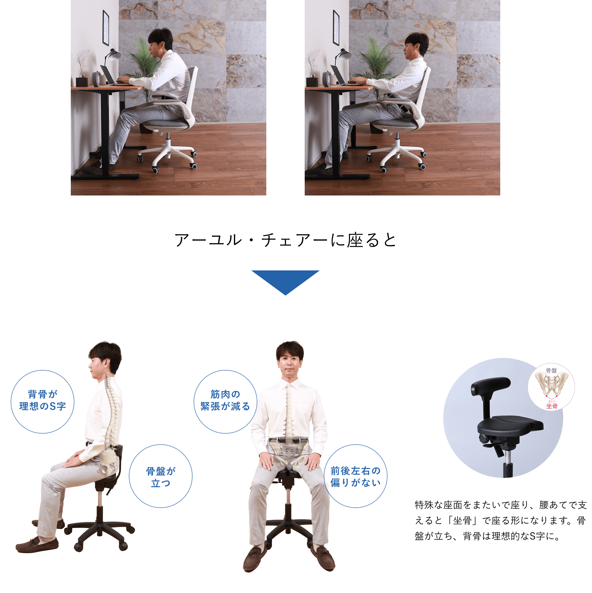 キャスタータイプ オクトパス｜腰痛対策・姿勢改善椅子、学習椅子