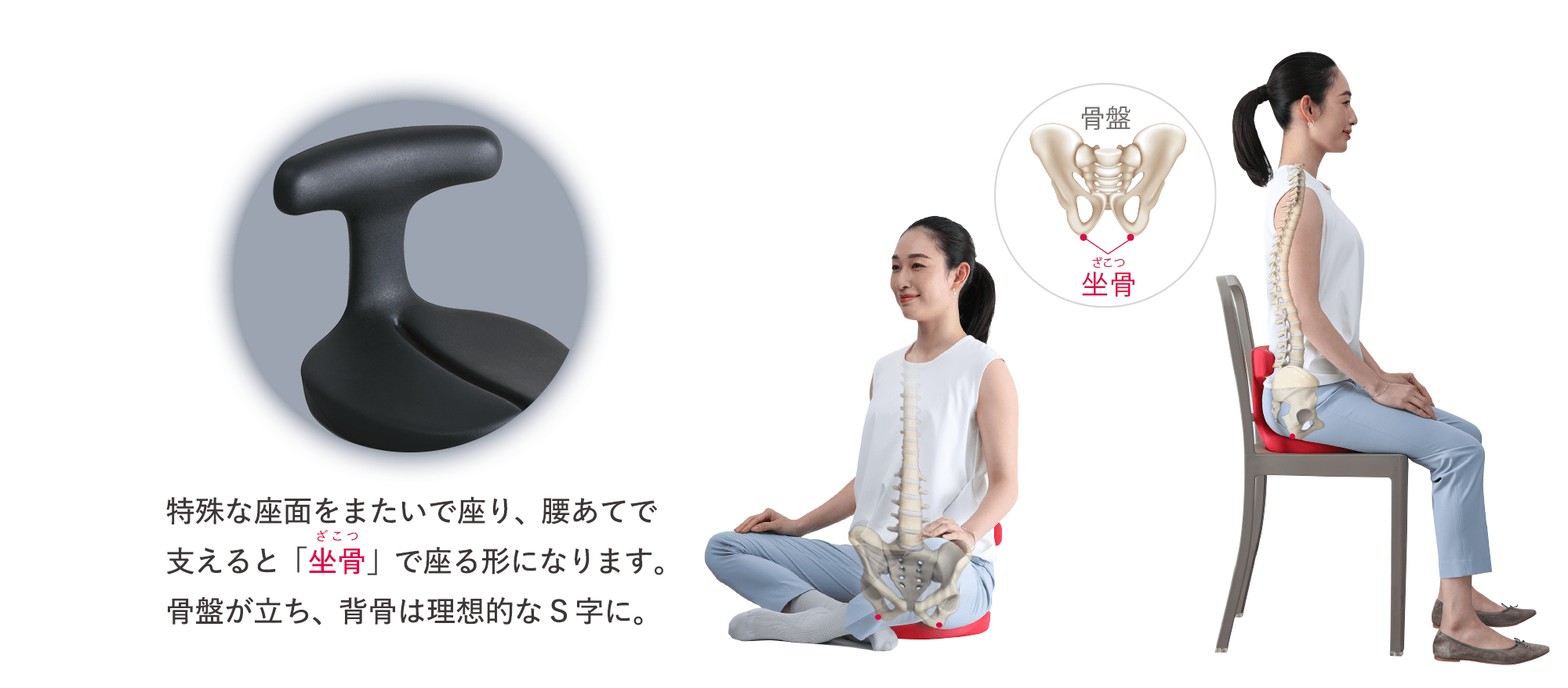 ayur medical 可愛 seat