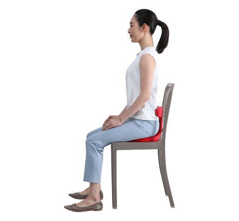 姿勢サポート・座面シート｜腰痛対策・姿勢改善椅子、学習椅子（イス ...