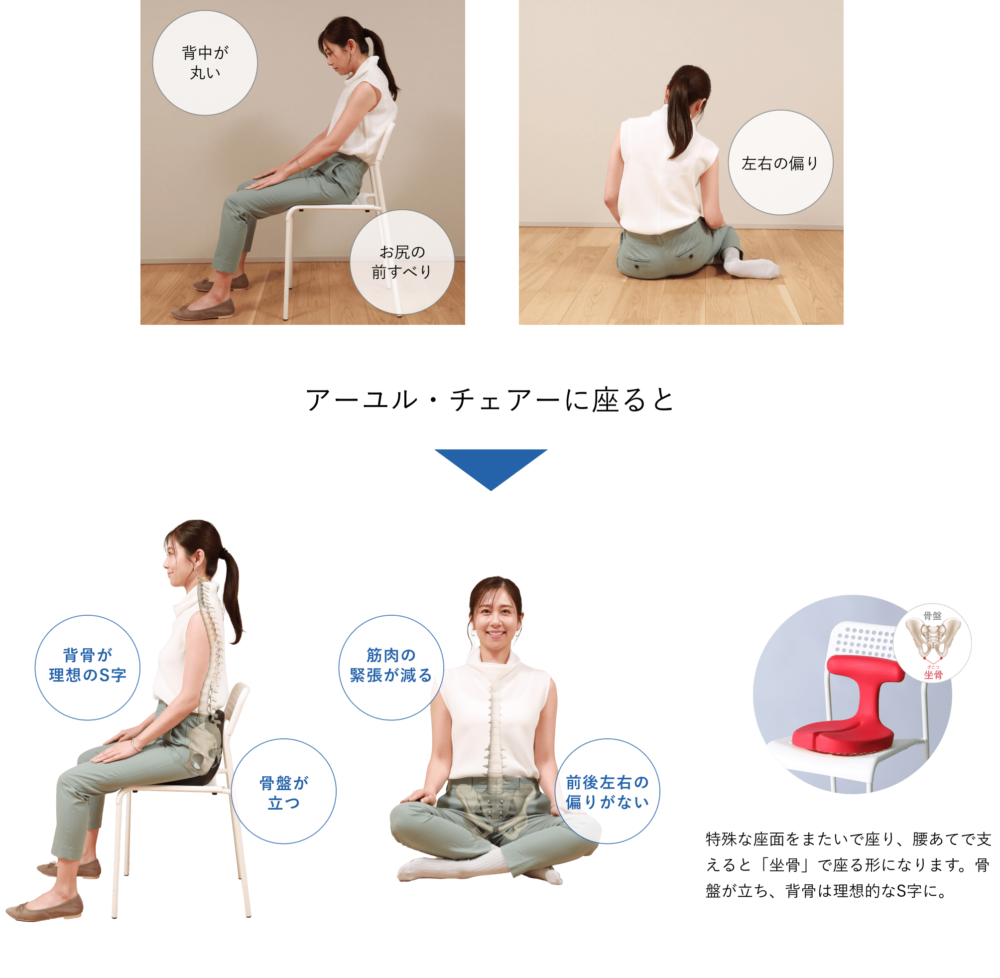 姿勢サポート・座面シート｜腰痛対策・姿勢改善椅子、学習椅子（イス