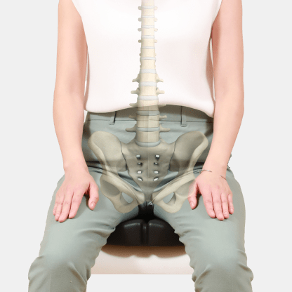 姿勢サポート・座面シート｜腰痛対策・姿勢改善椅子、学習椅子（イス