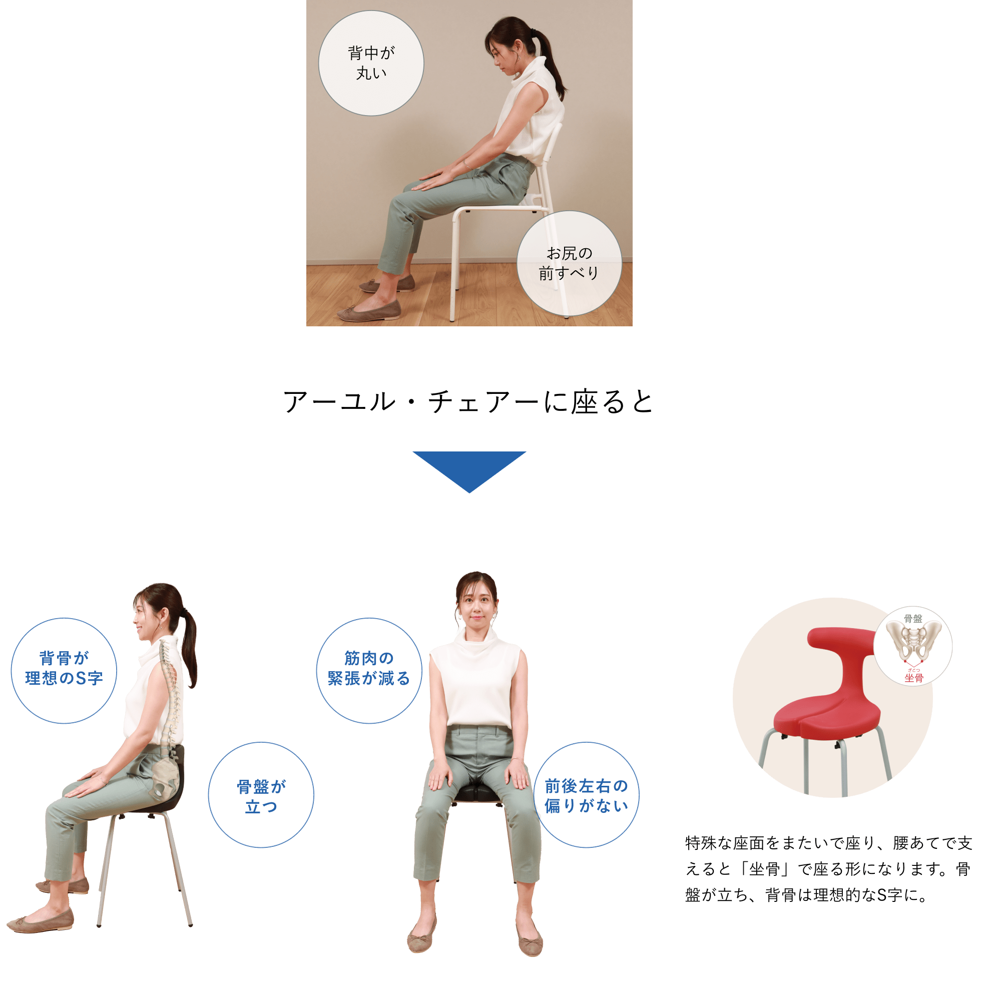 アーユルチェアー　スツールタイプ　ベージュM 座面高さ49cm アーユル・チェアー ayur-chair スツール Mサイズ 4本脚タイプ